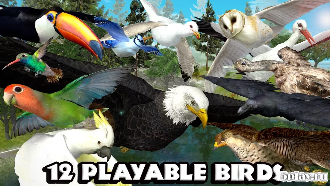 Ultimate Bird Simulator 1.3
