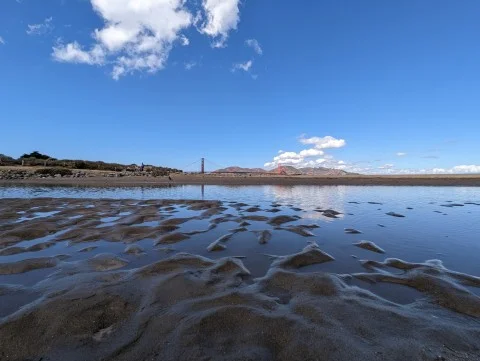 Можливості цифрової Zoom Camera Google Pixel 7 Pro показали на нових фотографіях  