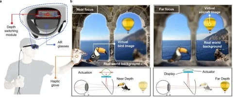 Винайдений м'язовий привід, здатний підняти вагу в сотні разів більше власних 