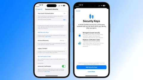 Відбулося випуск iOS 16.3. Які інновації чекають користувачів?