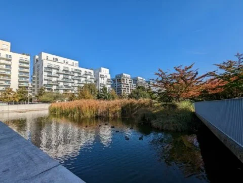 Камера Google Pixel 7 швидко ловиться в першій десятці лабораторії DXOMARK