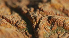 Minecraft вибухнув реалістичним скріншотом