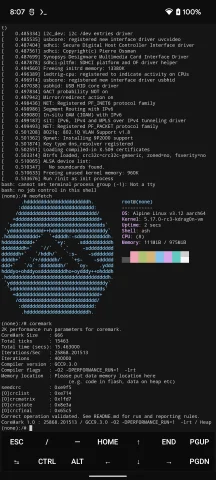 На Pixel 6 вони змогли запустити Windows 11, Classic Doom та Ubuntu