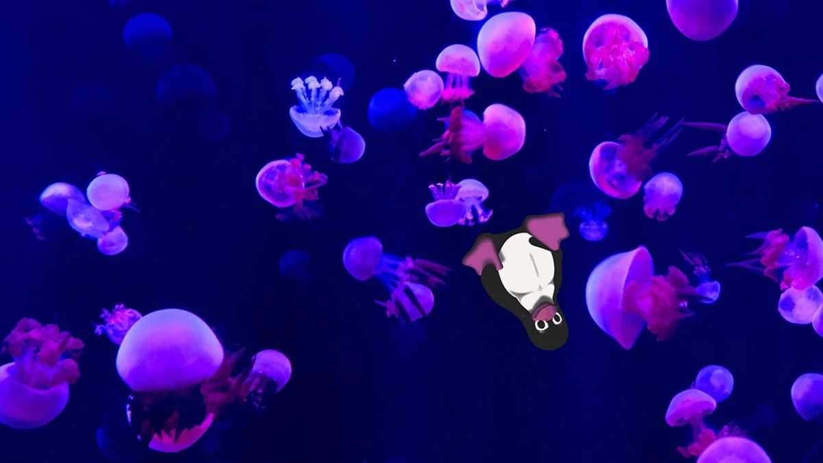 Ubuntu Release 22.04 LTS: Зміни в дизайні, новому програмному забезпеченні та 5-річній підтримці оновлень