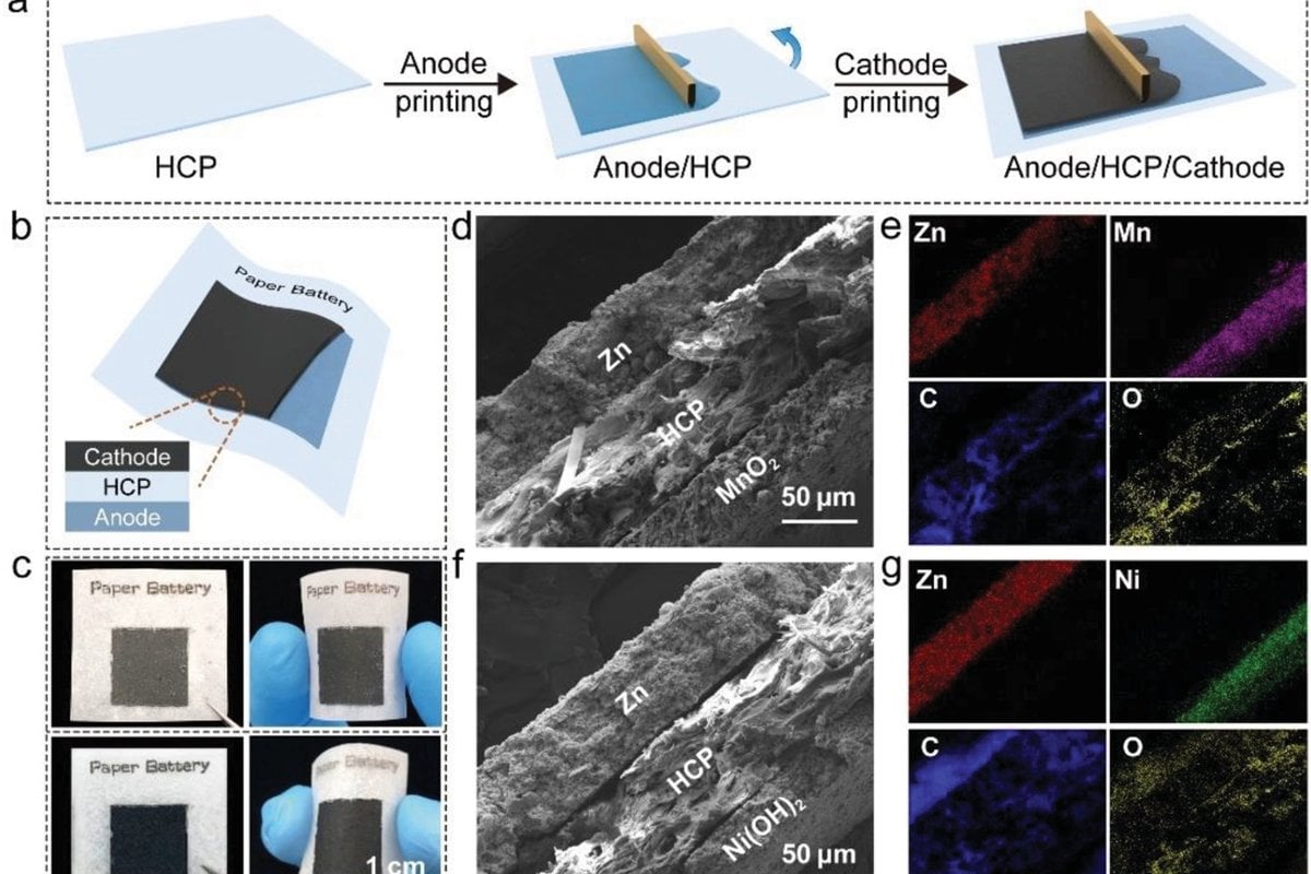 Вчені створили батареї на папері, які можуть розкладатися за місяць