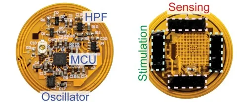 Американські вчені створили унікальний пластир, більш ефективно цілющі рани
