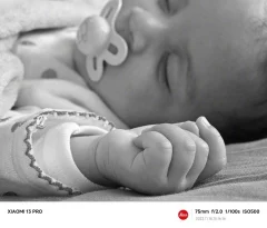 Xiaomi продемонстрував можливість зйомки макросу флагманського смартфона 13 Pro