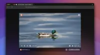 Duckduckgo випустив бета-версію корпоративного захисного браузера 